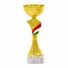 Hungarian national cup Janka