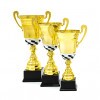 Motorsport cup Fred