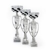 Motorsport cup Fidel